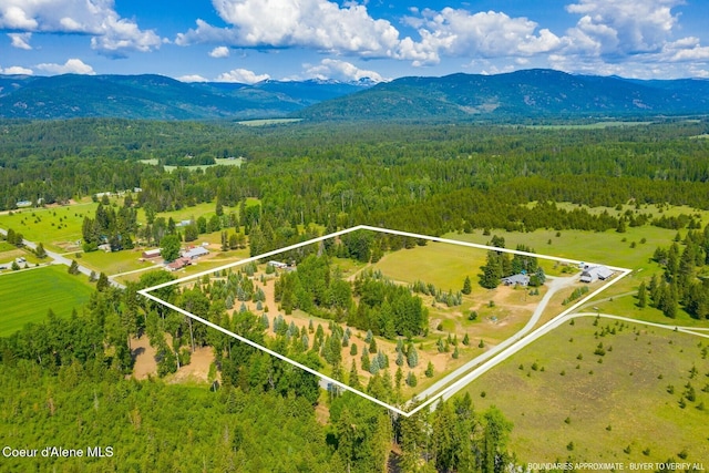 4119 Colburn Culver, Sandpoint, ID 83864 - view of property location featuring a forest and property parcel outlined