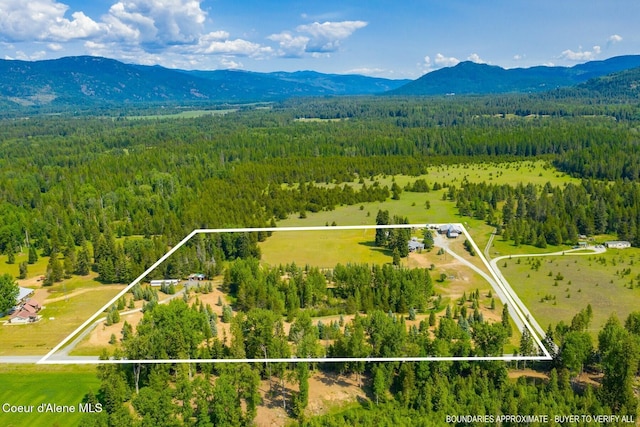 4119 Colburn Culver, Sandpoint, ID 83864 - aerial view of property's location with a forest and property parcel outlined