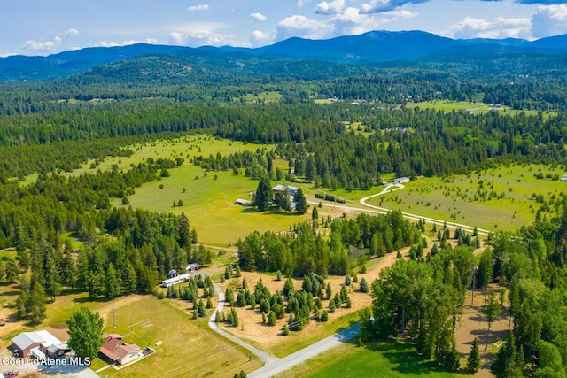 4119 Colburn Culver, Sandpoint, ID 83864 - bird's eye view of a forest and a mountain backdrop