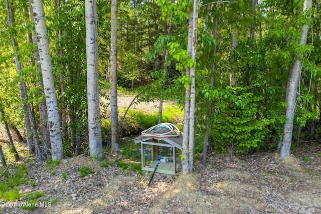 4119 Colburn Culver, Sandpoint, ID 83864 - view of yard