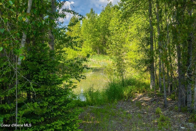 4119 Colburn Culver, Sandpoint, ID 83864 - view of wooded area
