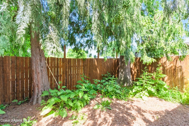 279 Birch Ave, Ponderay, ID 83852 - view of fenced backyard