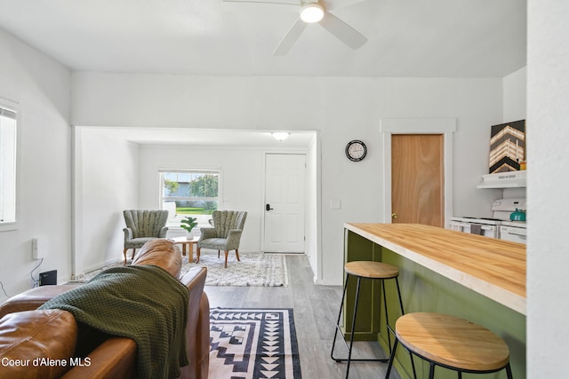279 Birch Ave, Ponderay, ID 83852 - living area featuring wood finished floors and ceiling fan