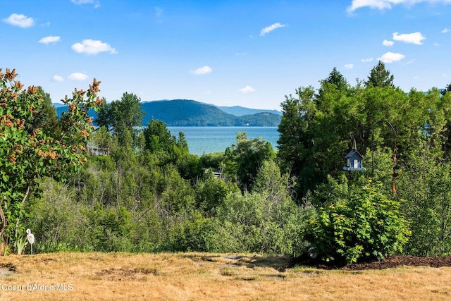182 Sunnyside Rd, Sandpoint, ID 83864 - view of mountain backdrop with a nearby body of water