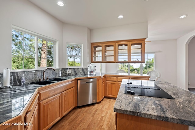 182 Sunnyside Rd, Sandpoint, ID 83864 - kitchen with stainless steel dishwasher, black electric stovetop, light wood-type flooring, plenty of natural light, and recessed lighting