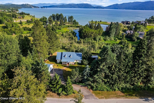 182 Sunnyside Rd, Sandpoint, ID 83864 - drone / aerial view of a water and mountain view