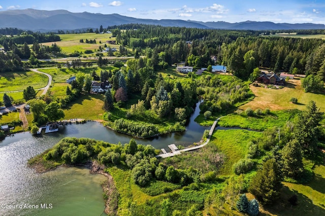 182 Sunnyside Rd, Sandpoint, ID 83864 - bird's eye view of a water and mountain view