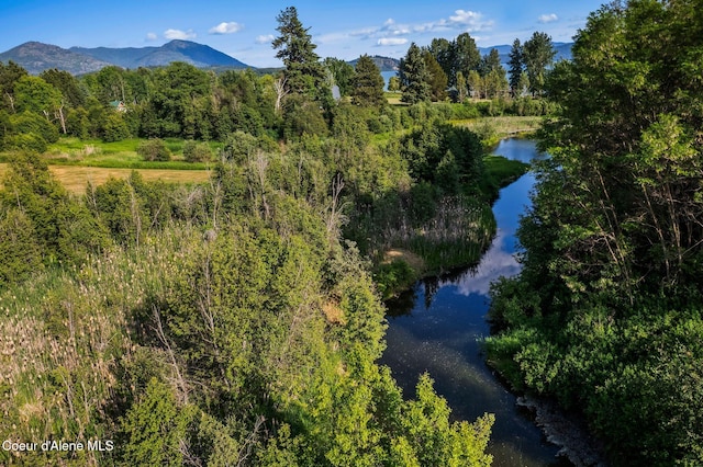 182 Sunnyside Rd, Sandpoint, ID 83864 - bird's eye view of a water and mountain view