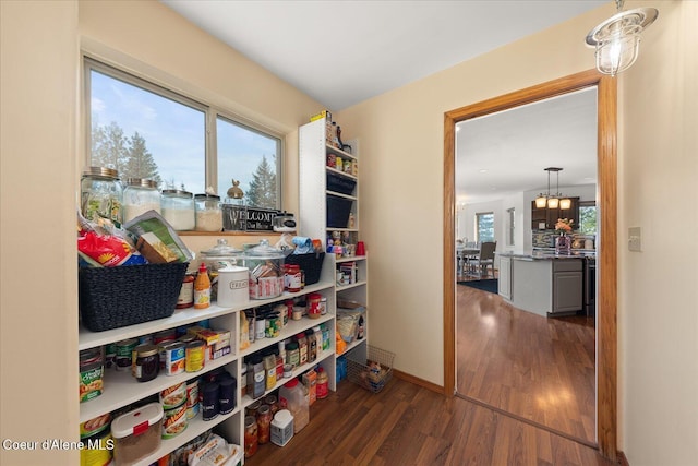 299 Oak Ter, Cocolalla, ID 83813 - view of pantry