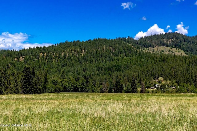 151 Scotts Rd, Priest River, ID 83856