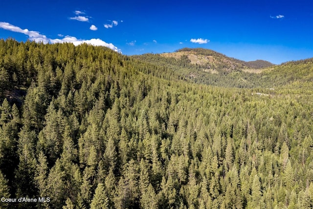 151 Scotts Rd, Priest River, ID 83856