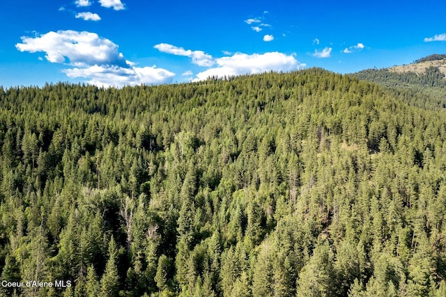 151 Scotts Rd, Priest River, ID 83856