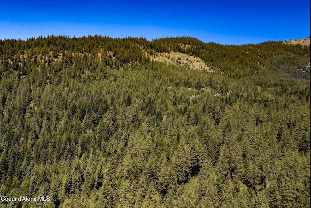 151 Scotts Rd, Priest River, ID 83856