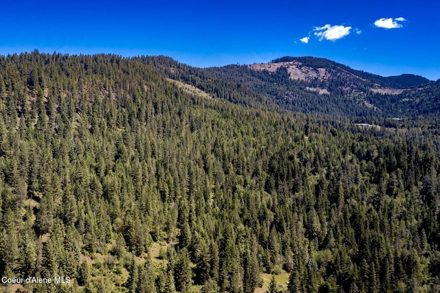 151 Scotts Rd, Priest River, ID 83856