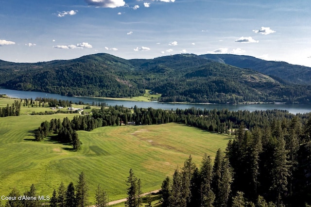 151 Scotts Rd, Priest River, ID 83856