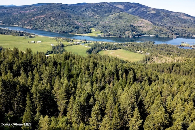 151 Scotts Rd, Priest River, ID 83856