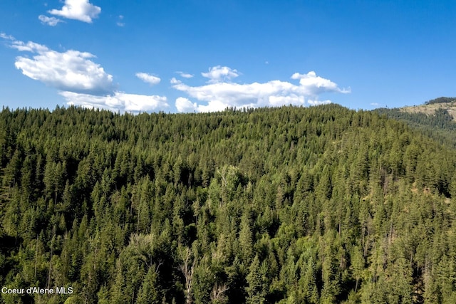 151 Scotts Rd, Priest River, ID 83856