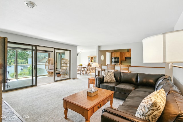 204 E 1st Ave E # 4, Post Falls, ID 83854 - view of carpeted living room
