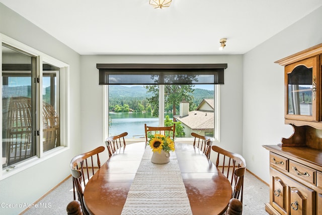 204 E 1st Ave E # 4, Post Falls, ID 83854 - dining area featuring baseboards and light colored carpet
