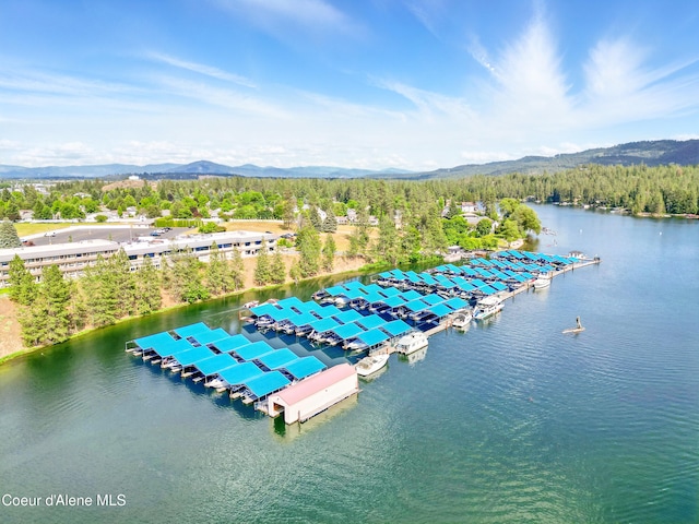 204 E 1st Ave E # 4, Post Falls, ID 83854 - aerial view of a water and mountain view