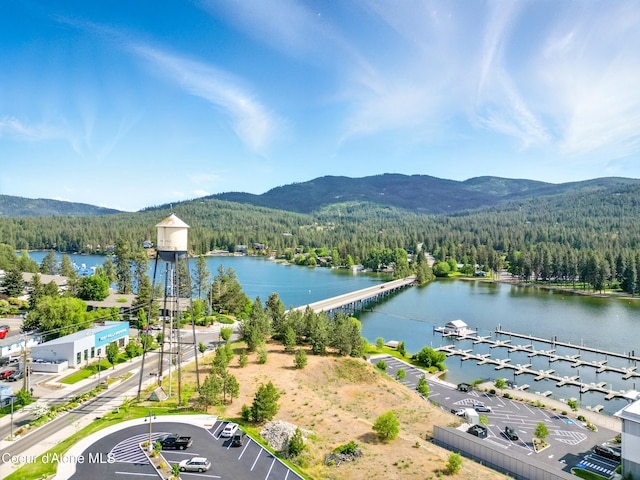 204 E 1st Ave E # 4, Post Falls, ID 83854 - aerial view of a forest and a water and mountain view