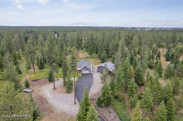 695 W Keva Ln, Athol, ID 83801 - view of subject property featuring a heavily wooded area