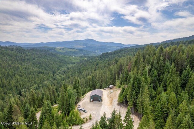 155 Hammer Ln, Kingston, ID 83839 - photo 38