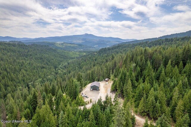 155 Hammer Ln, Kingston, ID 83839 - photo 36