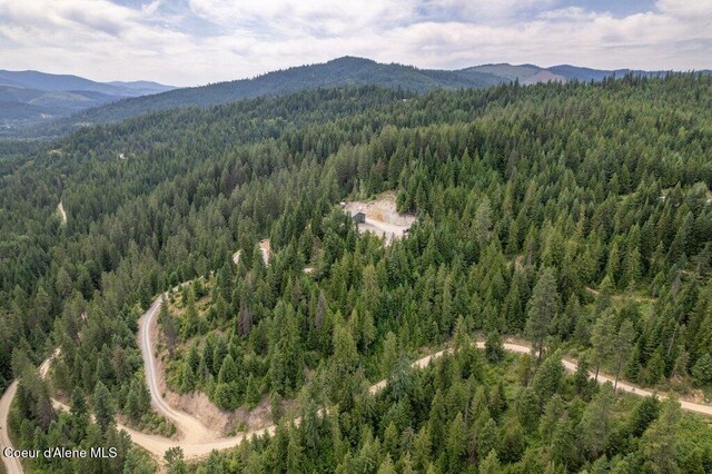 155 Hammer Ln, Kingston, ID 83839 - photo 31