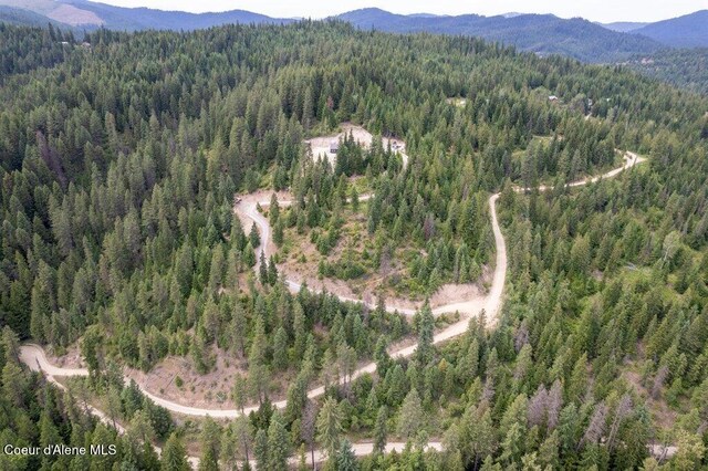 155 Hammer Ln, Kingston, ID 83839 - photo 27