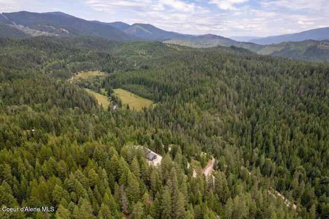 155 Hammer Ln, Kingston, ID 83839 - photo 28