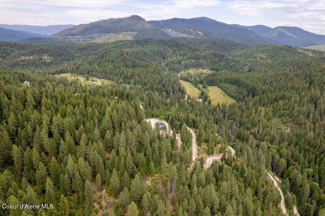 155 Hammer Ln, Kingston, ID 83839 - photo 29