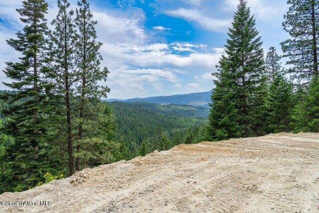 155 Hammer Ln, Kingston, ID 83839 - photo 30