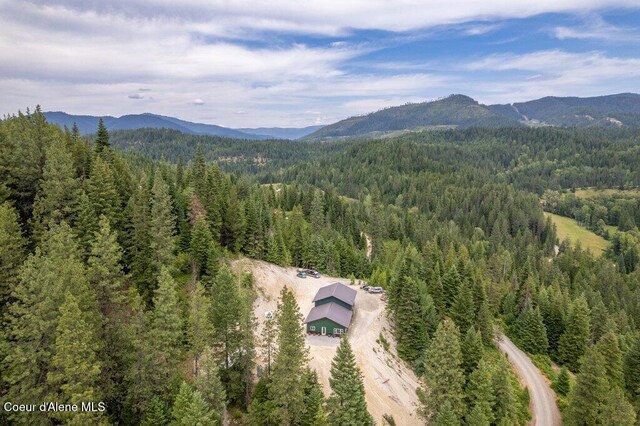 155 Hammer Ln, Kingston, ID 83839 - photo 32