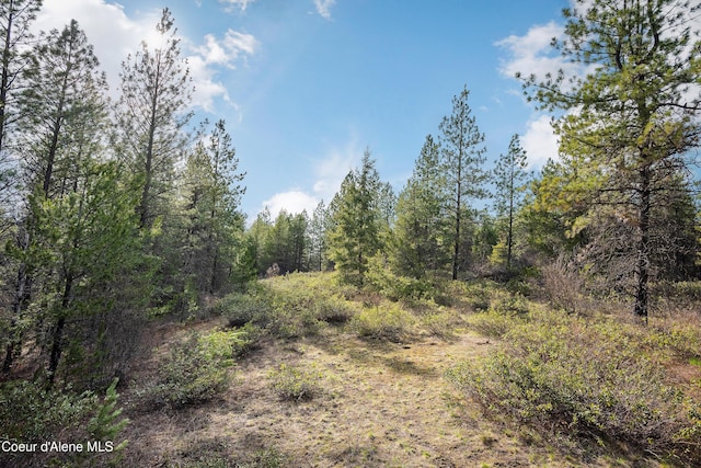9067 W Coeur D Alene Dr, Spirit Lake, ID 83869 - view of wooded area