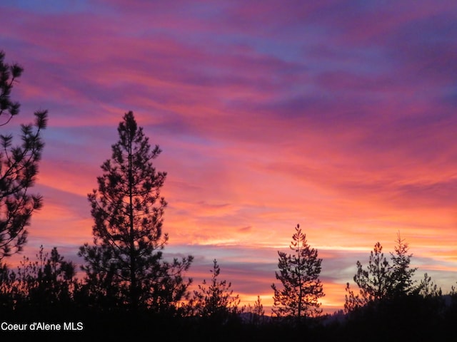 9067 W Coeur D Alene Dr, Spirit Lake, ID 83869 - view of local wilderness