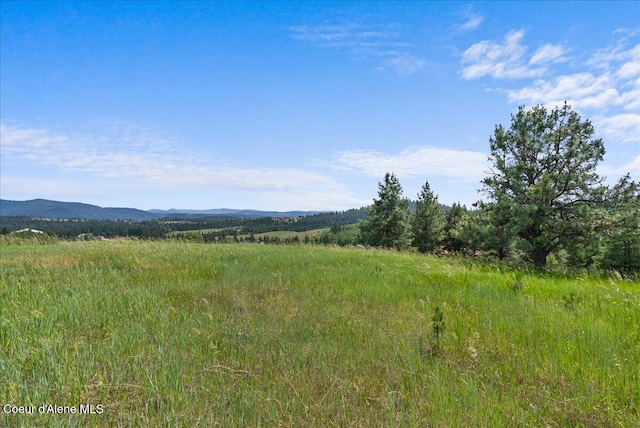 NKA W Bellgrove Rd, Coeur Dalene, ID 83814