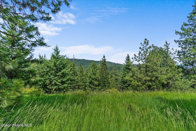 NKA W Bellgrove Rd, Coeur Dalene, ID 83814
