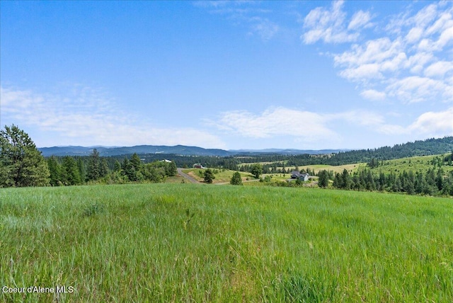 NKA W Bellgrove Rd, Coeur Dalene, ID 83814