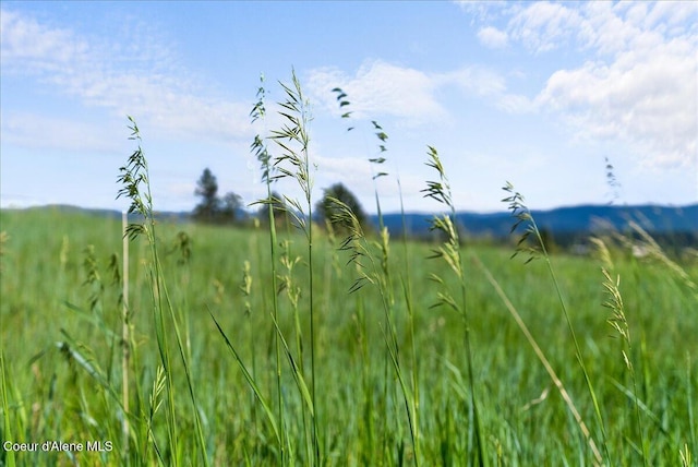 NKA W Bellgrove Rd, Coeur Dalene, ID 83814