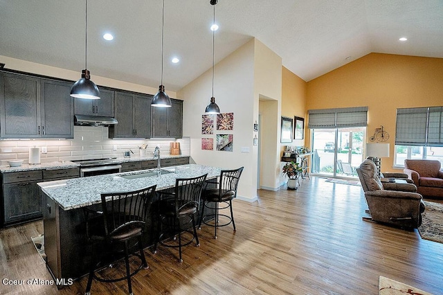 2052 W Bernard Dr, Coeur Dalene, ID 83815 - kitchen featuring under cabinet range hood, stainless steel electric range oven, high vaulted ceiling, light wood-type flooring, and recessed lighting