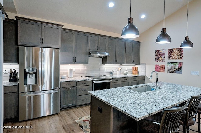 2052 W Bernard Dr, Coeur Dalene, ID 83815 - kitchen with appliances with stainless steel finishes, under cabinet range hood, light stone countertops, light wood-style flooring, and lofted ceiling