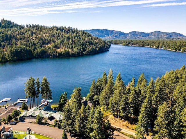 21515 N Village Blvd # 2, Rathdrum, ID 83858 - water view featuring a forest and a mountain backdrop