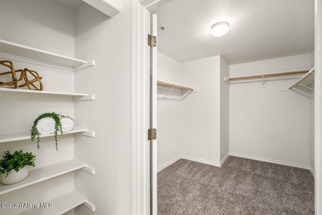 310 N Promenade Loop # 210, Post Falls, ID 83854 - spacious closet with carpet