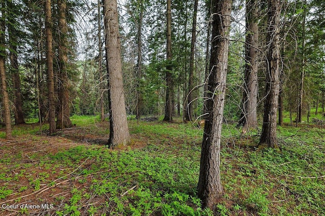 164 W Fork Pine Creek Rd, Pinehurst, ID 83850 - view of tree filled area