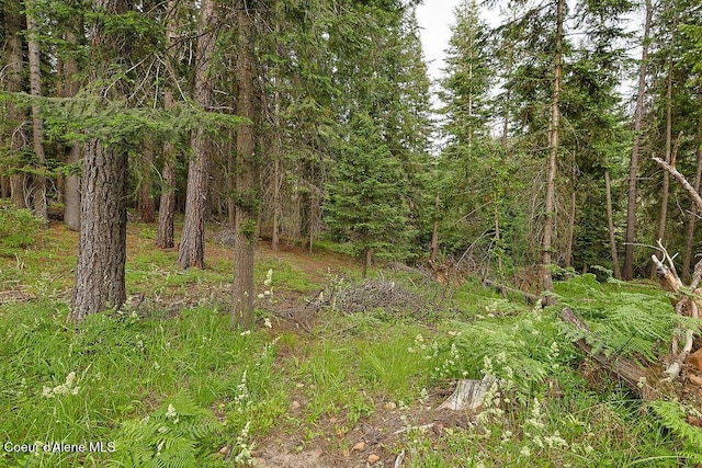 164 W Fork Pine Creek Rd, Pinehurst, ID 83850 - view of woods
