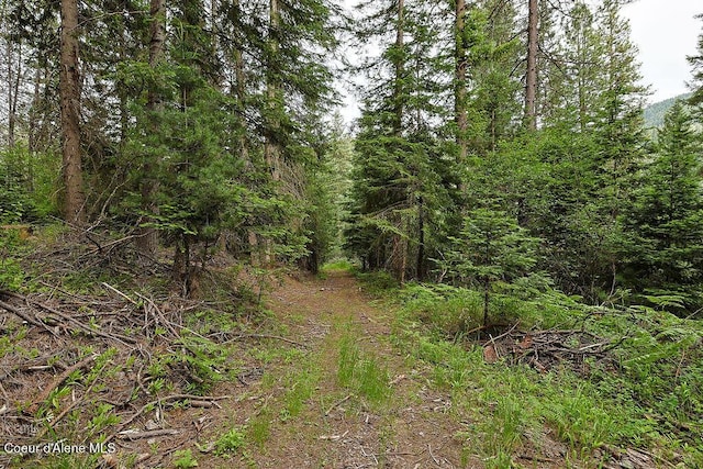 164 W Fork Pine Creek Rd, Pinehurst, ID 83850 - view of tree filled area