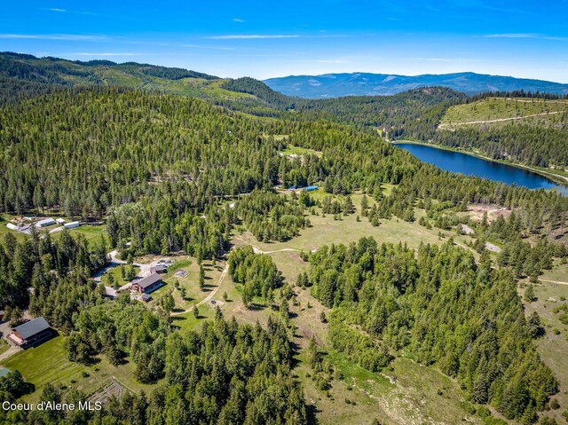 603 Schneiders Rd, Sagle, ID 83860 - photo 5