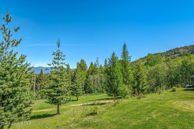 603 Schneiders Rd, Sagle, ID 83860 - photo 51