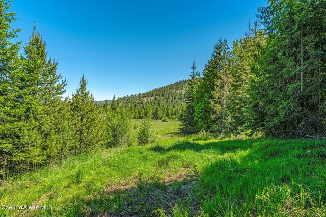 603 Schneiders Rd, Sagle, ID 83860 - photo 56
